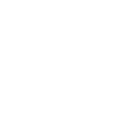 KTV